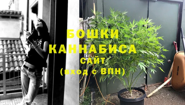 PSILOCYBIN Корсаков