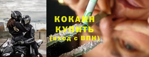 PSILOCYBIN Корсаков